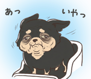843816118