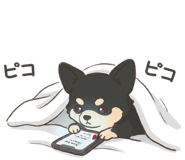 843816125