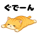 843816274
