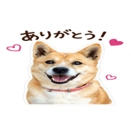 843816675
