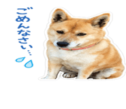 843816677