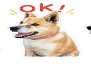 843816678