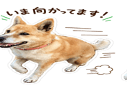 843816679