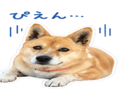 843816680