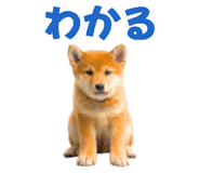 843816685