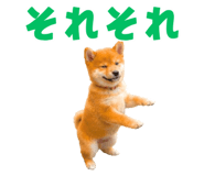 843816686