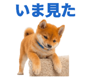 843816689
