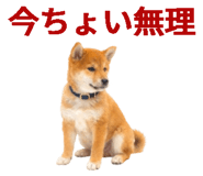 843816690