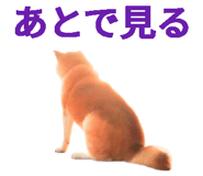 843816691