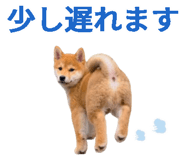 843816692
