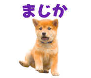 843816694
