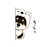 843817414