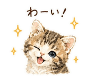 843817723