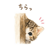 843817727