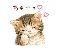 843817730