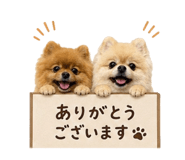 843818096