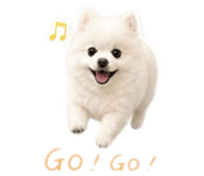 843818561