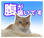 843818733