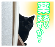 843818734