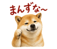 843818947