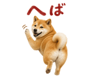 843818948