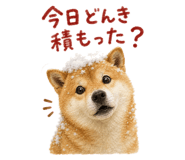 843818949