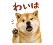 843818951