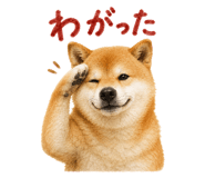 843818952