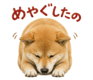 843818954