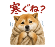 843818956