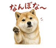 843818957