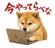 843818958