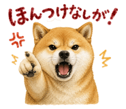 843818968