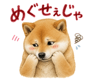 843818969