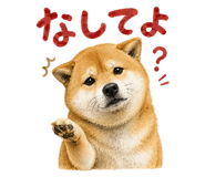 843818978