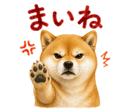 843818979