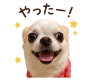 843819146