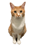 843819281
