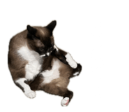 843819283