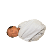 843819294