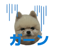 843819491
