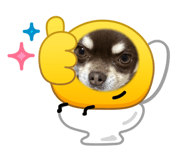 843819696