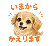843819875