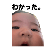 843819894