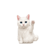 843820058