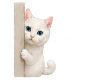 843820060