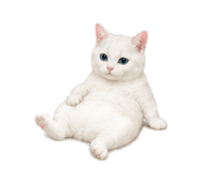 843820061