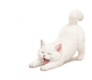 843820062