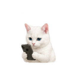 843820065