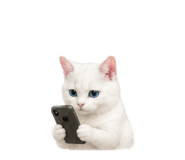 843820065